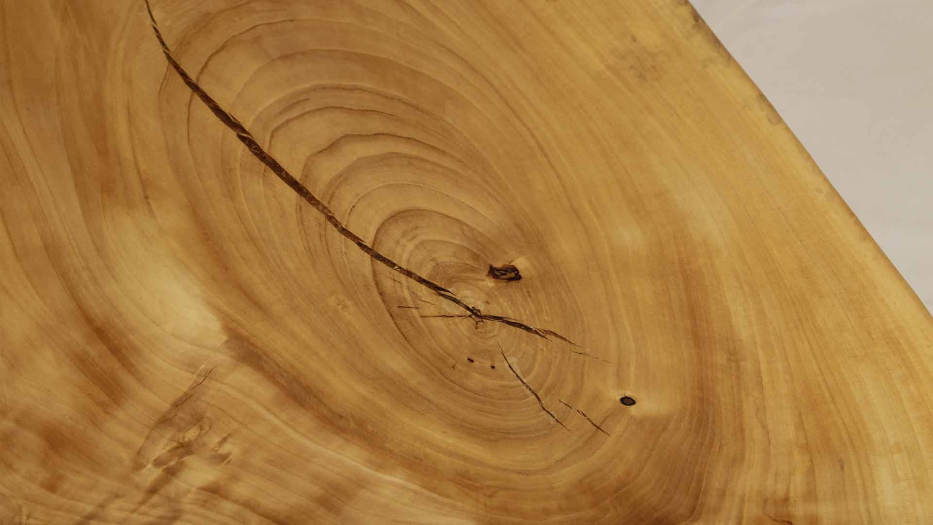 Tischplatte 192-03-P